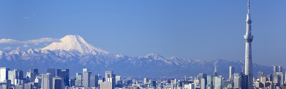 Mt Fuji & Tokyo Sky Tree